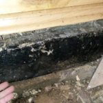 Rotten joists don&#39;t support the floor