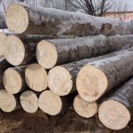 The use of wood in the construction of a bathhouse